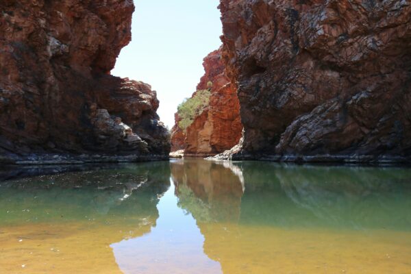Larapinta