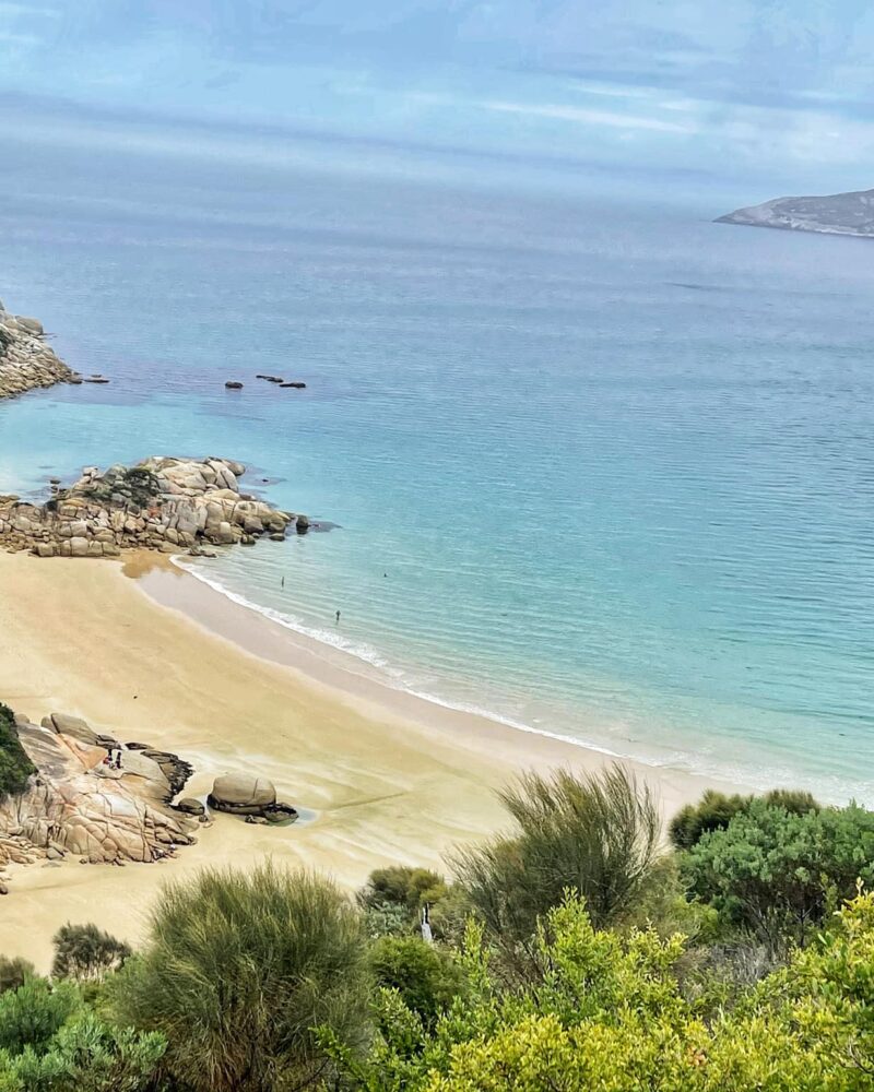 Wellness Retreats